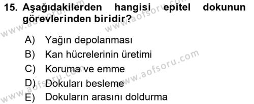 Genel Biyoloji Dersi 2022 - 2023 Yılı (Final) Dönem Sonu Sınavı 15. Soru