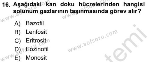 Genel Biyoloji Dersi 2022 - 2023 Yılı (Final) Dönem Sonu Sınavı 16. Soru