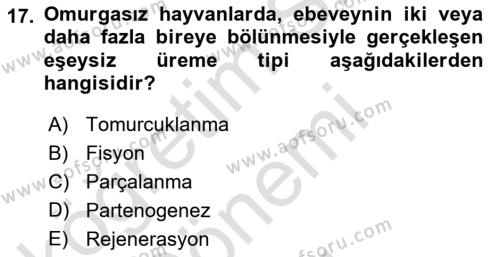 Genel Biyoloji Dersi 2022 - 2023 Yılı (Final) Dönem Sonu Sınavı 17. Soru