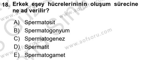 Genel Biyoloji Dersi 2022 - 2023 Yılı (Final) Dönem Sonu Sınavı 18. Soru