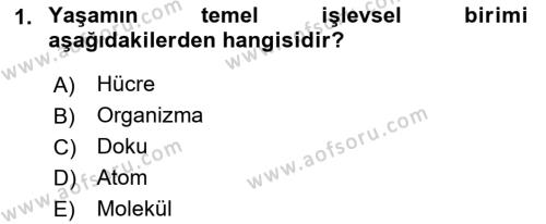 Genel Biyoloji Dersi 2022 - 2023 Yılı Yaz Okulu Sınavı 1. Soru