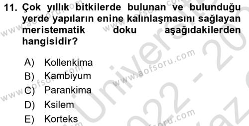 Genel Biyoloji Dersi 2022 - 2023 Yılı Yaz Okulu Sınavı 11. Soru