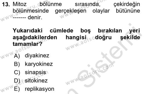 Genel Biyoloji Dersi 2022 - 2023 Yılı Yaz Okulu Sınavı 13. Soru