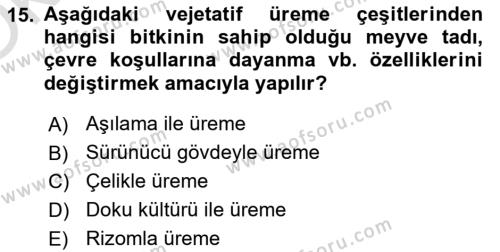 Genel Biyoloji Dersi 2022 - 2023 Yılı Yaz Okulu Sınavı 15. Soru