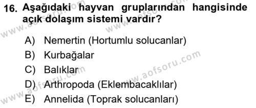 Genel Biyoloji Dersi 2022 - 2023 Yılı Yaz Okulu Sınavı 16. Soru