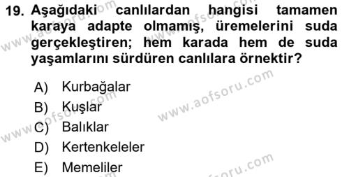 Genel Biyoloji Dersi 2022 - 2023 Yılı Yaz Okulu Sınavı 19. Soru