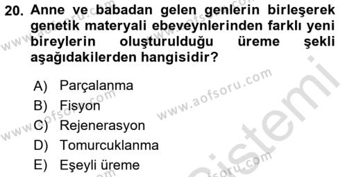 Genel Biyoloji Dersi 2022 - 2023 Yılı Yaz Okulu Sınavı 20. Soru