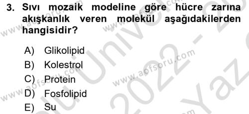 Genel Biyoloji Dersi 2022 - 2023 Yılı Yaz Okulu Sınavı 3. Soru