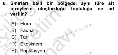 Genel Biyoloji Dersi 2022 - 2023 Yılı Yaz Okulu Sınavı 6. Soru