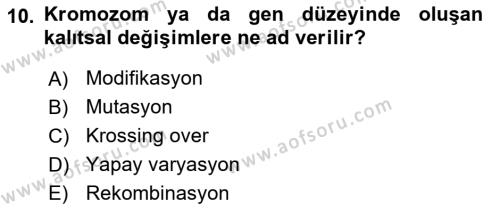 Genel Biyoloji Dersi 2023 - 2024 Yılı (Vize) Ara Sınavı 10. Soru