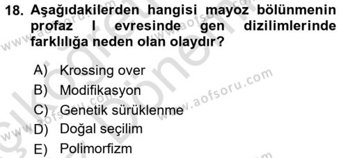 Genel Biyoloji Dersi 2023 - 2024 Yılı (Vize) Ara Sınavı 18. Soru