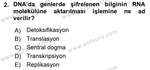 Genel Biyoloji Dersi 2023 - 2024 Yılı (Vize) Ara Sınavı 2. Soru