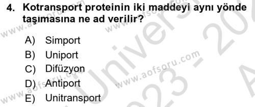 Genel Biyoloji Dersi 2023 - 2024 Yılı (Vize) Ara Sınavı 4. Soru