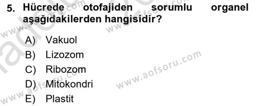 Genel Biyoloji Dersi 2023 - 2024 Yılı (Vize) Ara Sınavı 5. Soru