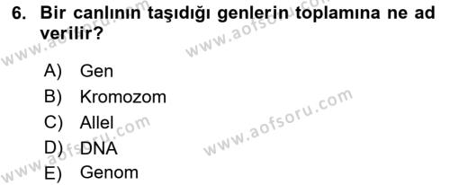 Genel Biyoloji Dersi 2023 - 2024 Yılı (Vize) Ara Sınavı 6. Soru