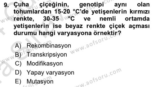 Genel Biyoloji Dersi 2023 - 2024 Yılı (Vize) Ara Sınavı 9. Soru