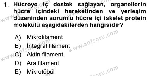 Genel Biyoloji Dersi 2023 - 2024 Yılı (Final) Dönem Sonu Sınavı 1. Soru