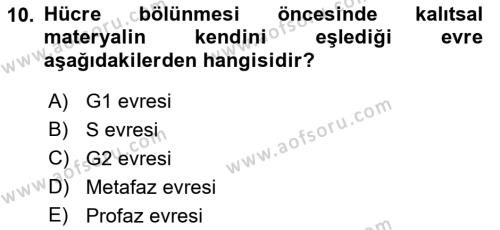 Genel Biyoloji Dersi 2023 - 2024 Yılı (Final) Dönem Sonu Sınavı 10. Soru