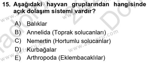 Genel Biyoloji Dersi 2023 - 2024 Yılı (Final) Dönem Sonu Sınavı 15. Soru