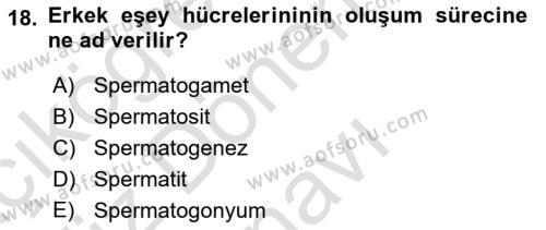 Genel Biyoloji Dersi 2023 - 2024 Yılı (Final) Dönem Sonu Sınavı 18. Soru