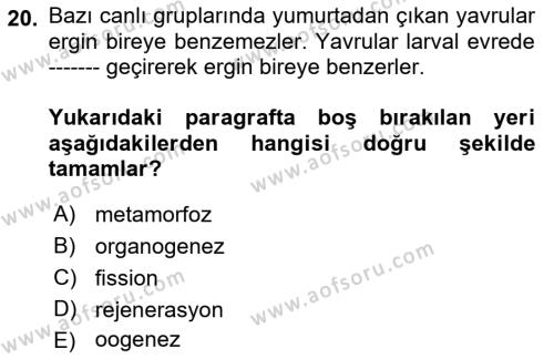 Genel Biyoloji Dersi 2023 - 2024 Yılı (Final) Dönem Sonu Sınavı 20. Soru