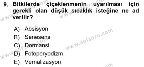 Genel Biyoloji Dersi 2023 - 2024 Yılı (Final) Dönem Sonu Sınavı 9. Soru