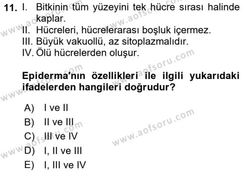 Genel Biyoloji Dersi 2023 - 2024 Yılı Yaz Okulu Sınavı 11. Soru