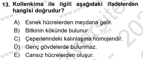 Genel Biyoloji Dersi 2023 - 2024 Yılı Yaz Okulu Sınavı 13. Soru