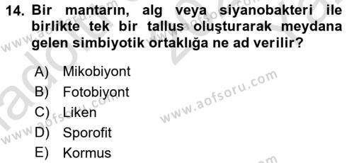 Genel Biyoloji Dersi 2023 - 2024 Yılı Yaz Okulu Sınavı 14. Soru