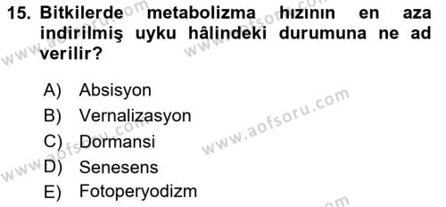 Genel Biyoloji Dersi 2023 - 2024 Yılı Yaz Okulu Sınavı 15. Soru