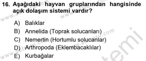 Genel Biyoloji Dersi 2023 - 2024 Yılı Yaz Okulu Sınavı 16. Soru