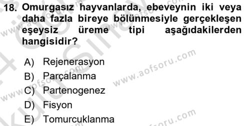 Genel Biyoloji Dersi 2023 - 2024 Yılı Yaz Okulu Sınavı 18. Soru