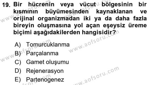 Genel Biyoloji Dersi 2023 - 2024 Yılı Yaz Okulu Sınavı 19. Soru