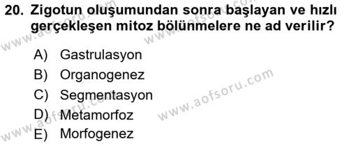 Genel Biyoloji Dersi 2023 - 2024 Yılı Yaz Okulu Sınavı 20. Soru