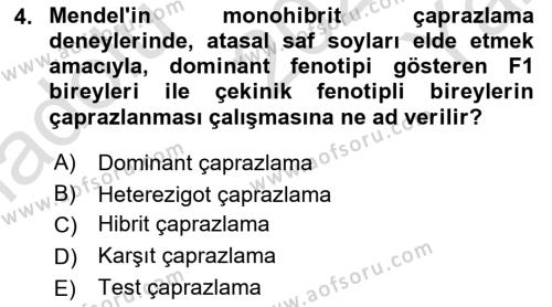 Genel Biyoloji Dersi 2023 - 2024 Yılı Yaz Okulu Sınavı 4. Soru