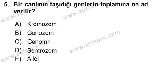 Genel Biyoloji Dersi 2023 - 2024 Yılı Yaz Okulu Sınavı 5. Soru