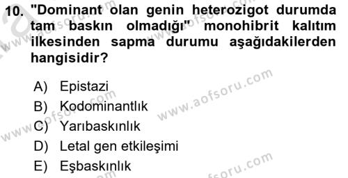 Genel Biyoloji Dersi 2024 - 2025 Yılı (Vize) Ara Sınavı 10. Soru