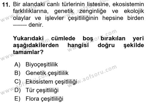 Genel Biyoloji Dersi 2024 - 2025 Yılı (Vize) Ara Sınavı 11. Soru