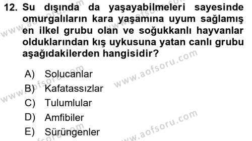 Genel Biyoloji Dersi 2024 - 2025 Yılı (Vize) Ara Sınavı 12. Soru