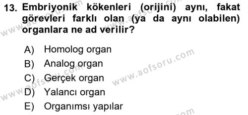 Genel Biyoloji Dersi 2024 - 2025 Yılı (Vize) Ara Sınavı 13. Soru