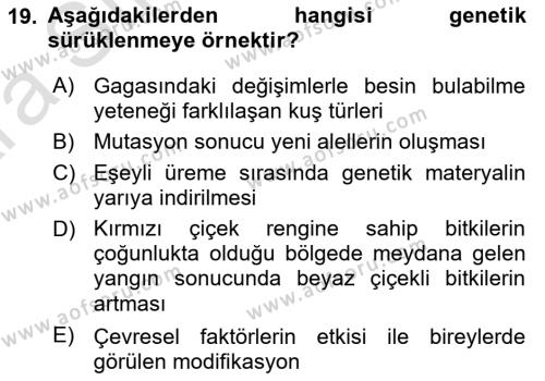 Genel Biyoloji Dersi 2024 - 2025 Yılı (Vize) Ara Sınavı 19. Soru