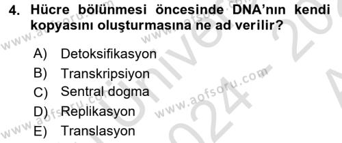 Genel Biyoloji Dersi 2024 - 2025 Yılı (Vize) Ara Sınavı 4. Soru