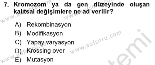 Genel Biyoloji Dersi 2024 - 2025 Yılı (Vize) Ara Sınavı 7. Soru