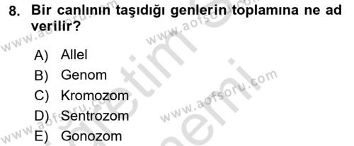 Genel Biyoloji Dersi 2024 - 2025 Yılı (Vize) Ara Sınavı 8. Soru