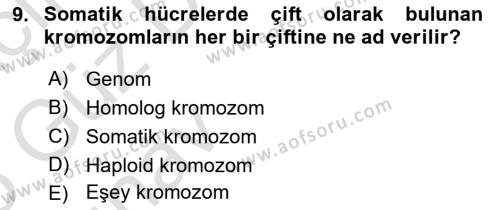 Genel Biyoloji Dersi 2024 - 2025 Yılı (Vize) Ara Sınavı 9. Soru