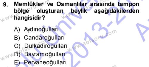 Orta Çağ ve Yeni Çağ Türk Devletleri Tarihi Dersi 2013 - 2014 Yılı (Vize) Ara Sınavı 9. Soru