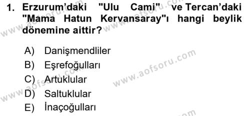 Orta Çağ ve Yeni Çağ Türk Devletleri Tarihi Dersi 2021 - 2022 Yılı (Final) Dönem Sonu Sınavı 1. Soru