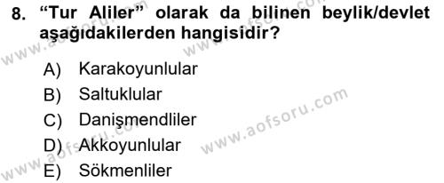 Orta Çağ ve Yeni Çağ Türk Devletleri Tarihi Dersi 2021 - 2022 Yılı (Final) Dönem Sonu Sınavı 8. Soru