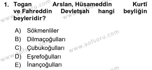 Orta Çağ ve Yeni Çağ Türk Devletleri Tarihi Dersi 2021 - 2022 Yılı Yaz Okulu Sınavı 1. Soru