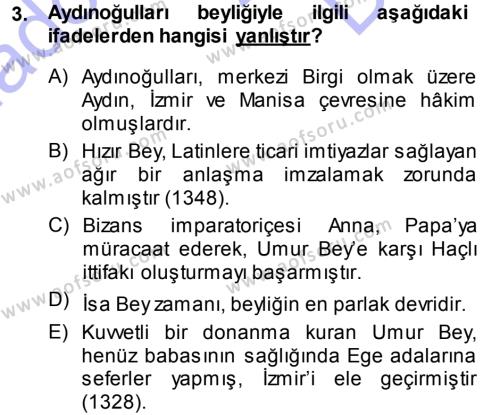 Ortaçağ ve Yeniçağ Türk Devletleri Tarihi Dersi 2013 - 2014 Yılı (Final) Dönem Sonu Sınavı 3. Soru